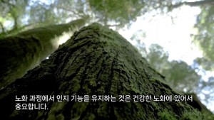 뇌를 건강하게. 뇌경색 예방법